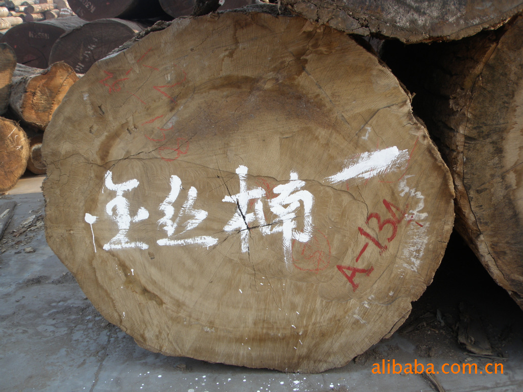 《博物要览》记载,金丝者出川涧中,木纹有金丝。楠木之至美者,向阳处或结成人物山水之纹。水河山色清而木质甚松,如水杨之类,惟可做桌凳之类。木质坚硬耐腐,自古有“水不能浸,蚁不能穴”之说。主要分布于我国四川、贵州、湖北和湖南等海拔1000——1500米的亚热带地区阴湿山谷、山洼及河旁。生长缓慢,而其生长规律又使大器晚成(生长旺盛的黄金阶段需要60--90年),成为栋梁材要上百年。 古往今来,无论是皇帝、大臣、还是皇亲国戚;无论是群众、制作厂商,还是学者、