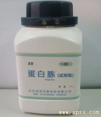 我公司供应蛋白胨