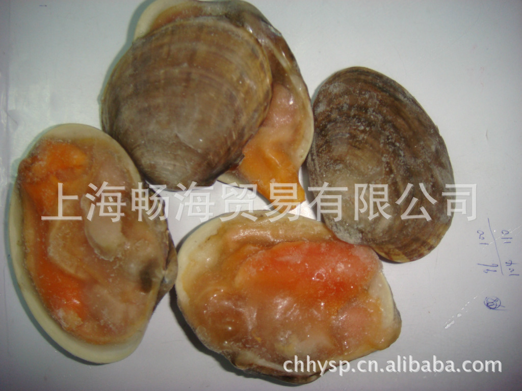 半壳黄贝/黄金贝/炒菜火锅/去内脏