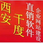 经典直销财务软件开发