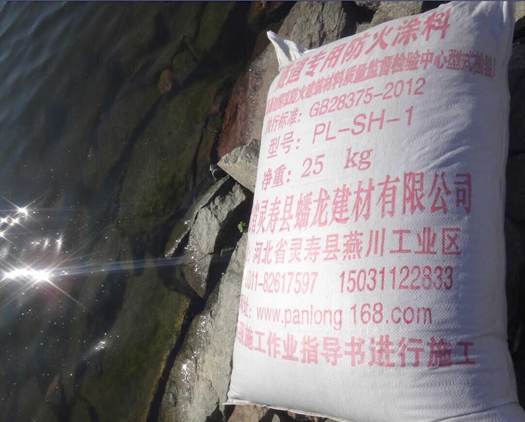 隧道防火涂料检测-供应产品-灵寿县蟠龙建材有限公司